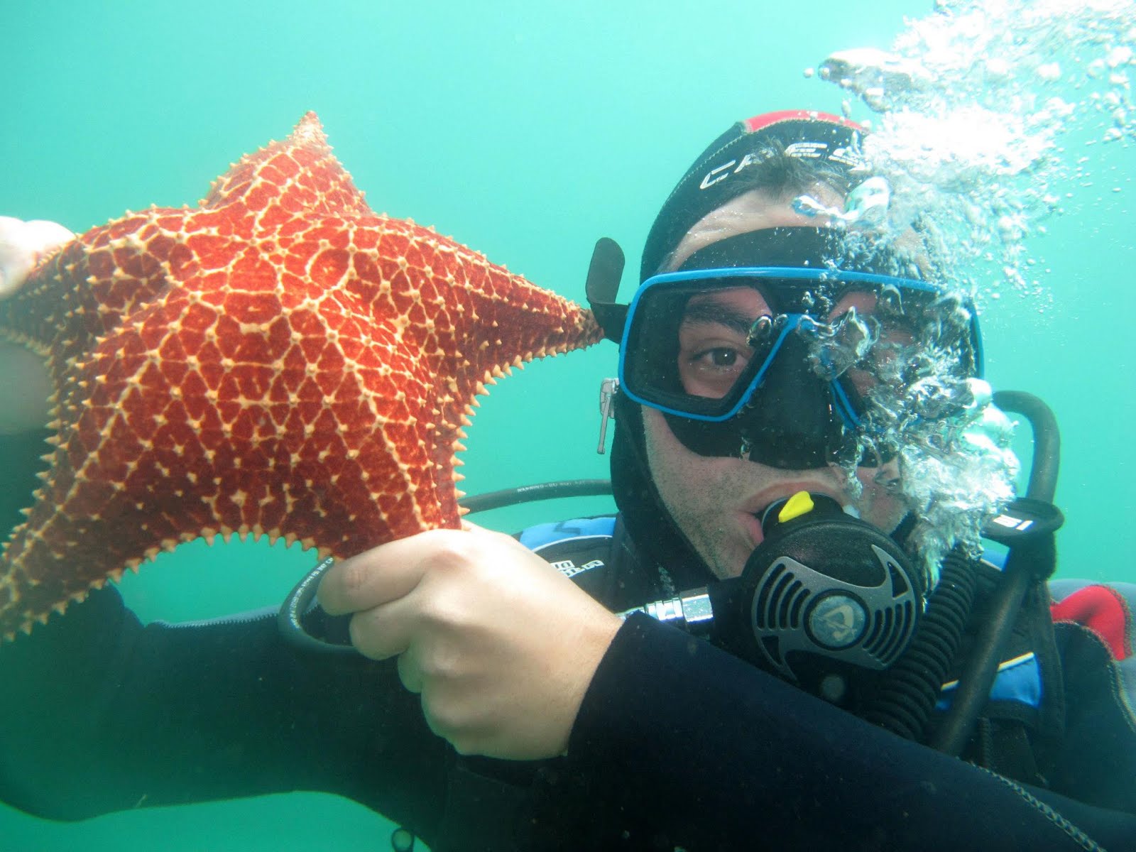 DEMETRIO EM UM MERGULHO EM ILHA GRANDE.