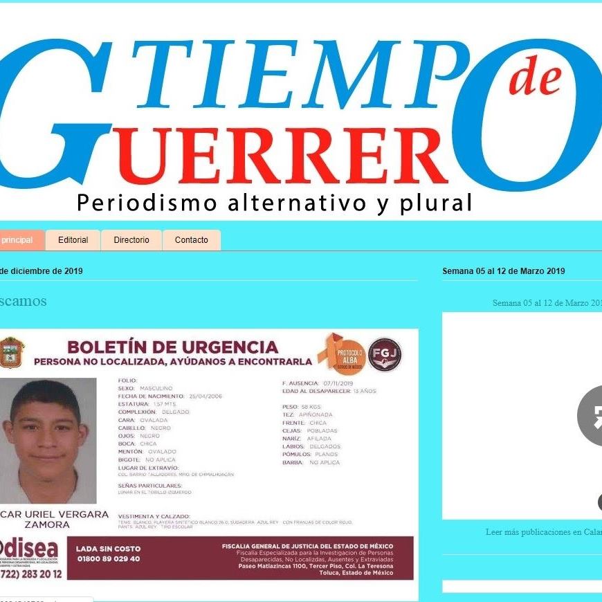 Grupo Tiempo de Guerrero