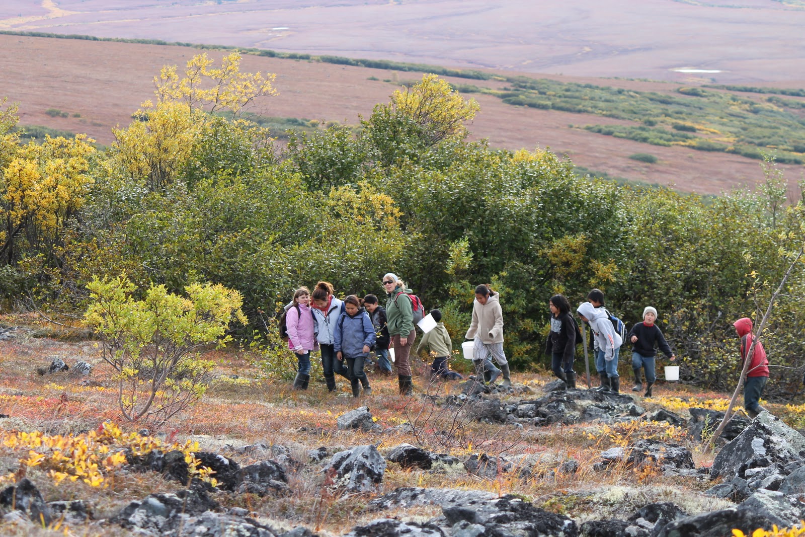 Teaching in Rural Alaska Berry Picking