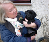 Milo at 7 weeks