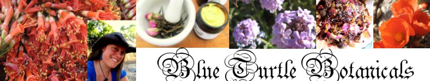 Blue Turtle Botanicals