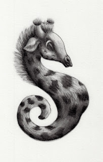 seahorse pencil drawing