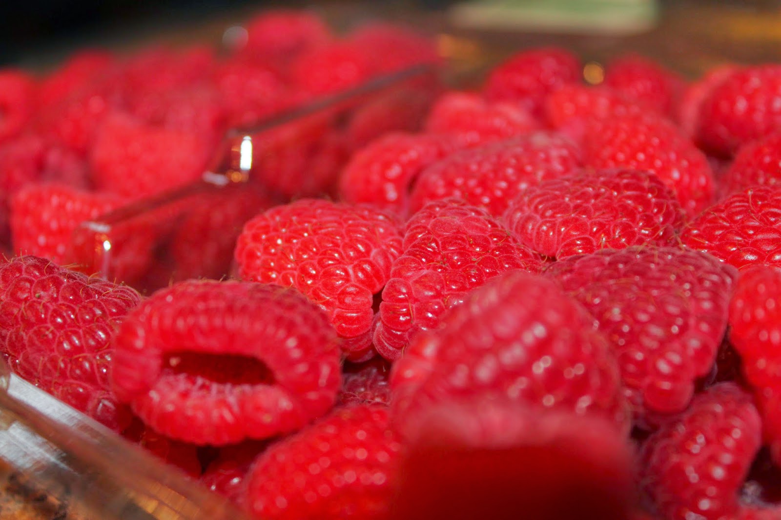 [bearded-dragon-not-eating-spinach.jpg]