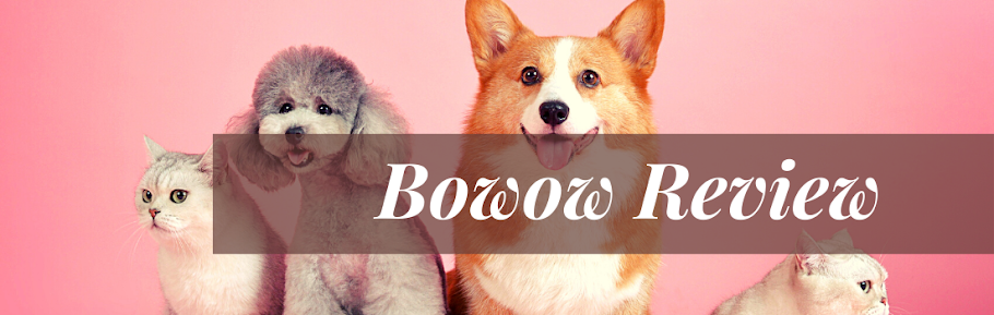 bowow review