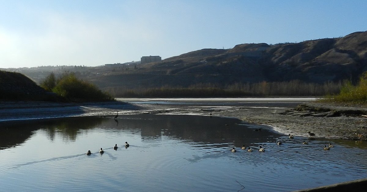 welovekamloops McArthur Island Park Autumn Kamloops, BC