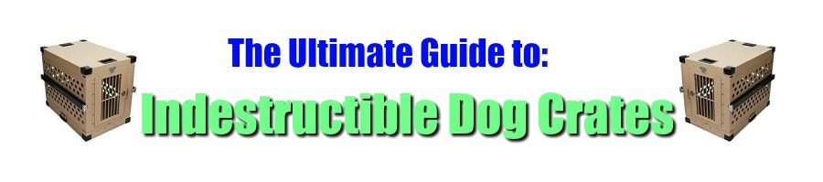Ultimate Guide to Indestructible Dog Crates