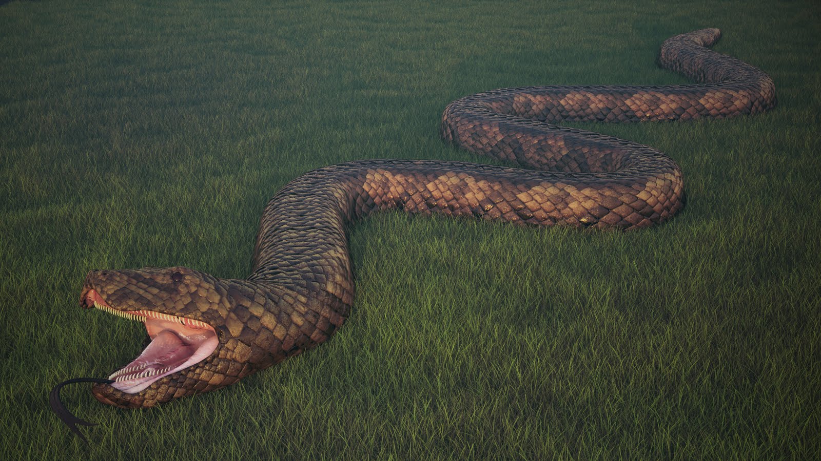 Elchoco00 Biggest Anaconda Snake Found