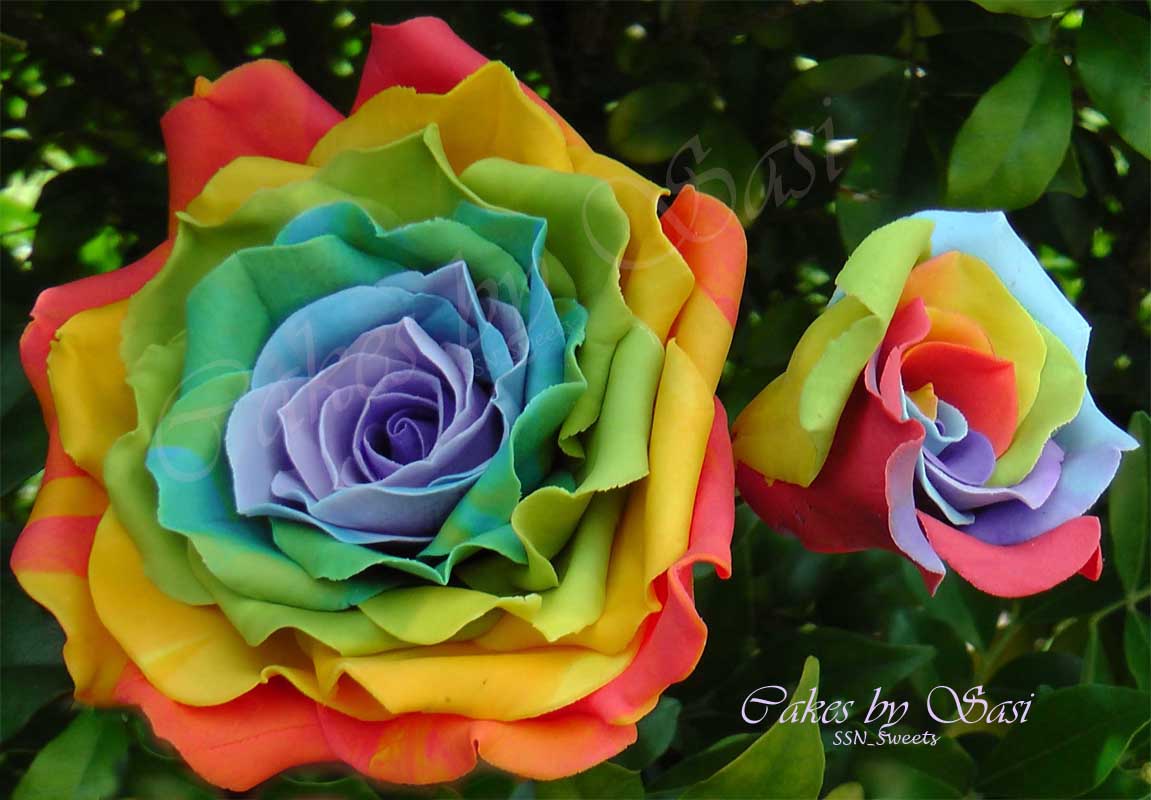 My creations so far... My Rainbow Rose Collection