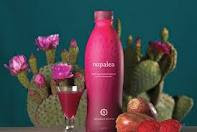 how to treat inflammation nopalea cactus