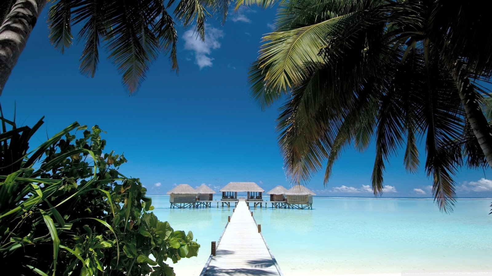 Hd Hintergrundbilder Seychellen Palmen Meer Tropen Pier Kostenlos Landschaften