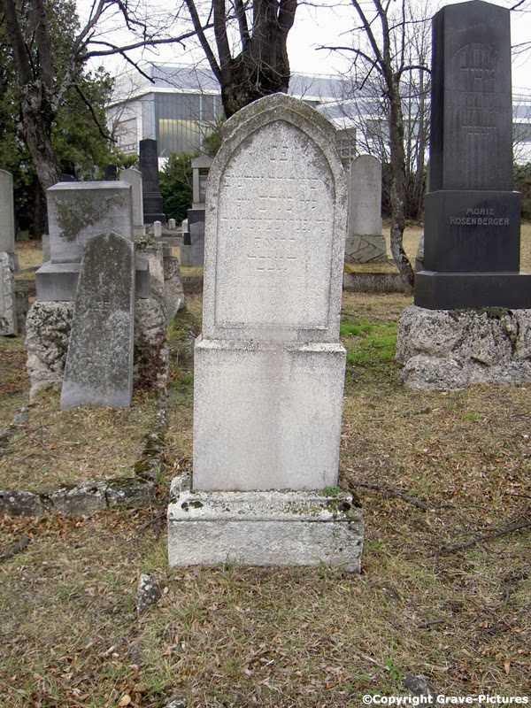 Who We Are and How We Got This Way Emanuel Weiss