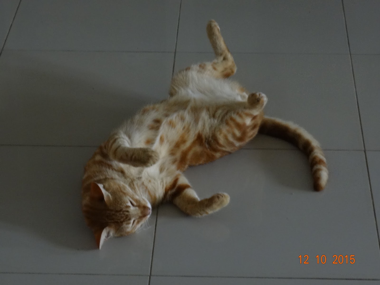 Die Alte Die Ihr Zeug Verscherbelte Und Verschwand Pumuckl