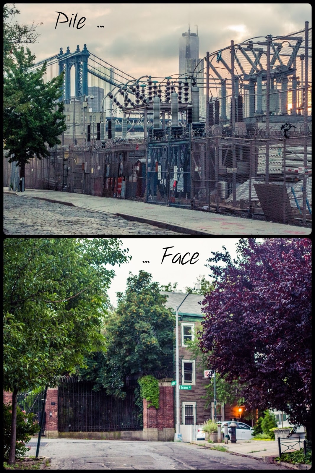 Curiosités et futilités à New York