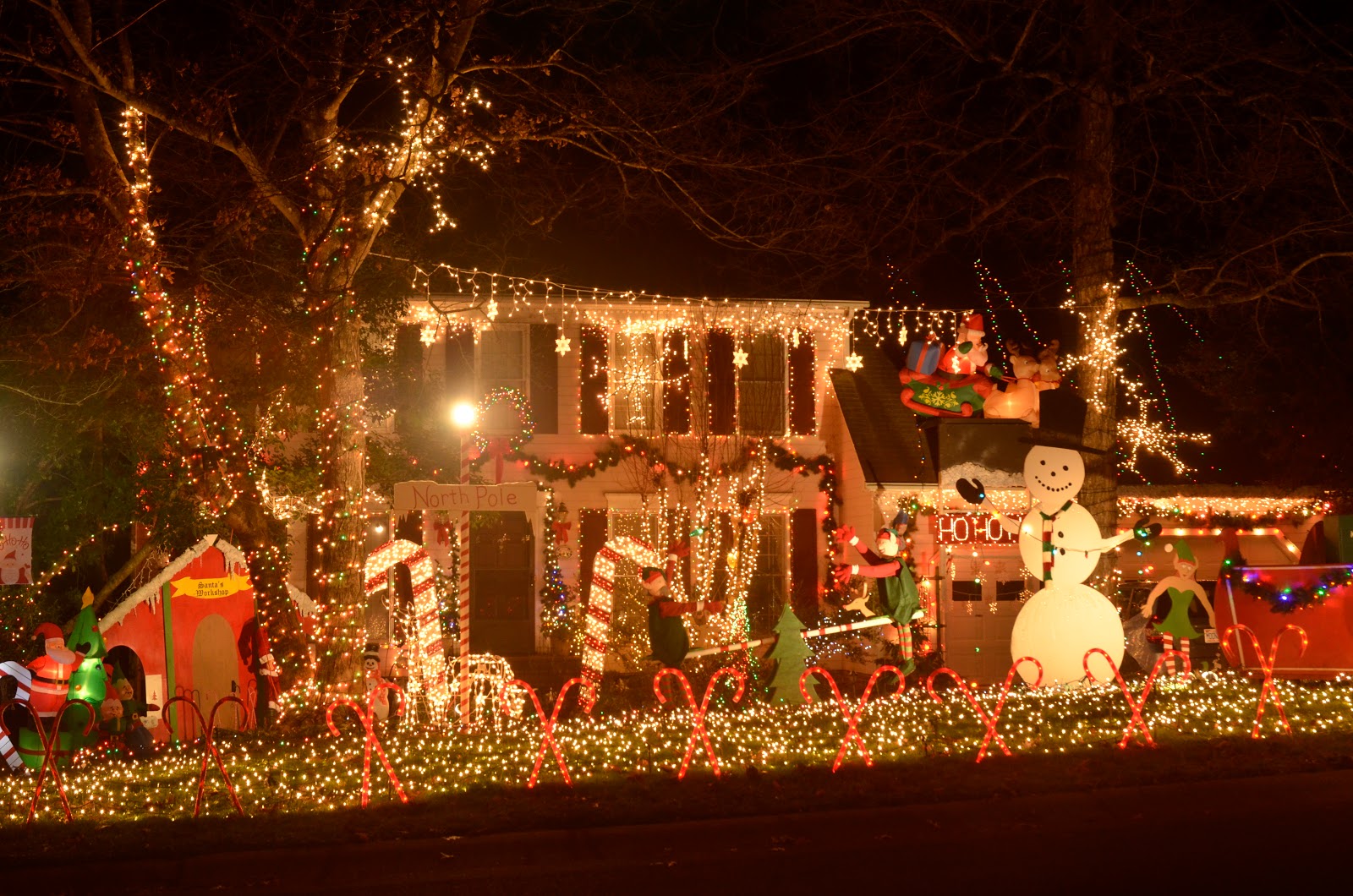 Love Like Crazy Christmas Lights