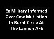 Cannon AFB - UFOs, Burned Circles And Cow Found Mutilated.