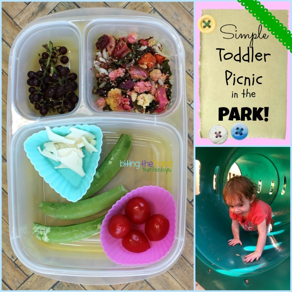 Biting The Hand That Feeds You Simple Toddler Picnic in the Park!