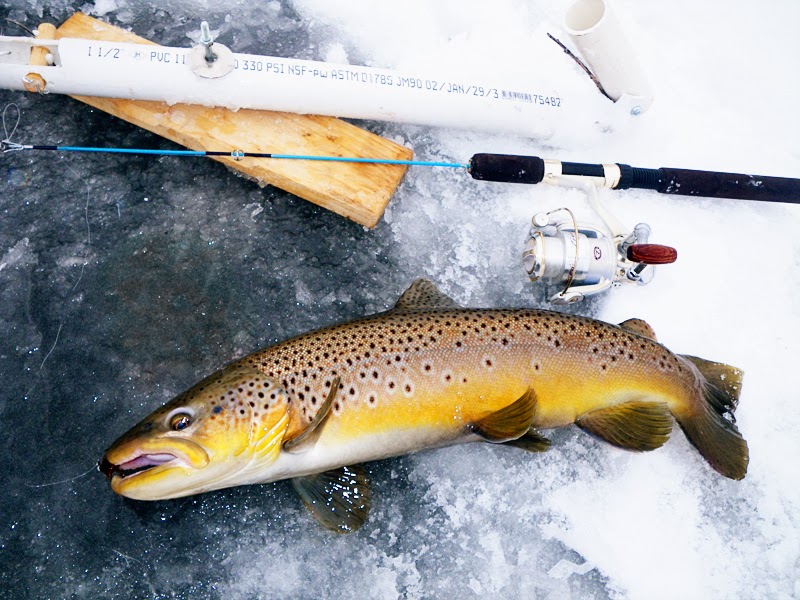 Living Fly Legacy DIY Ice Fishing Automatic Hook Setter