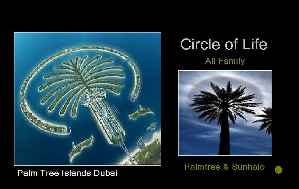 circle dubai