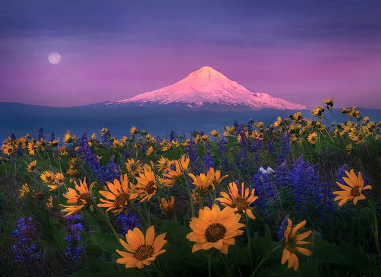 LA FOTO DEL DIA Columbia Hills, Washington State, USA 1