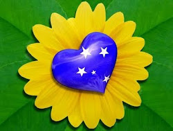 BANDEIRA DO BRASIL-FLOR