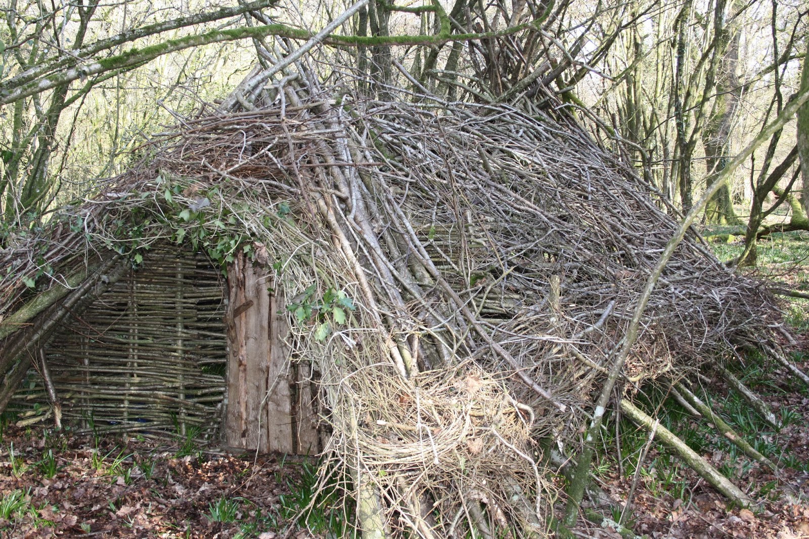 Wilderness Survival Skills and Bushcraft Antics Building A Long Term