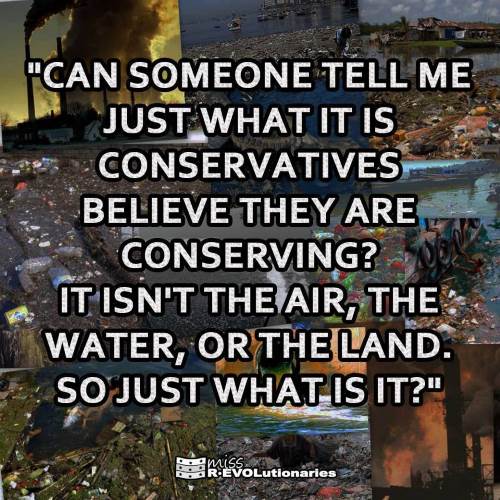 conservatives-conserving.jpg