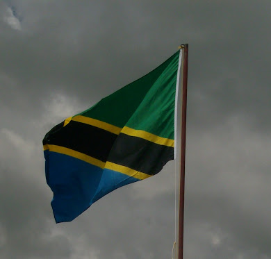 Tanzania National Flag