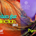 Resham Ghar Eid Collection 2013 | Beautiful Digital Print and Embroidery Dresses For Occasional Wear