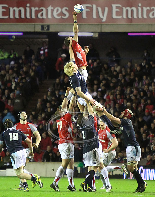 James Gunn Photography: Scotland vs Wales Six Nations match
