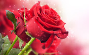 Comentarios. Tierno y bello piropo para dedicar con esta imagen de flores: . hermosa flor roja imagenes hd de flores rojas