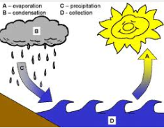 Water Cycle Boogie