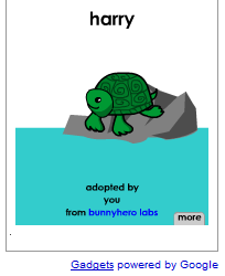 turtle