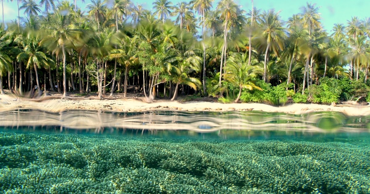 Keindahan Surga Taman Laut Wisata Kepulauan Padaido (Biak, Papua