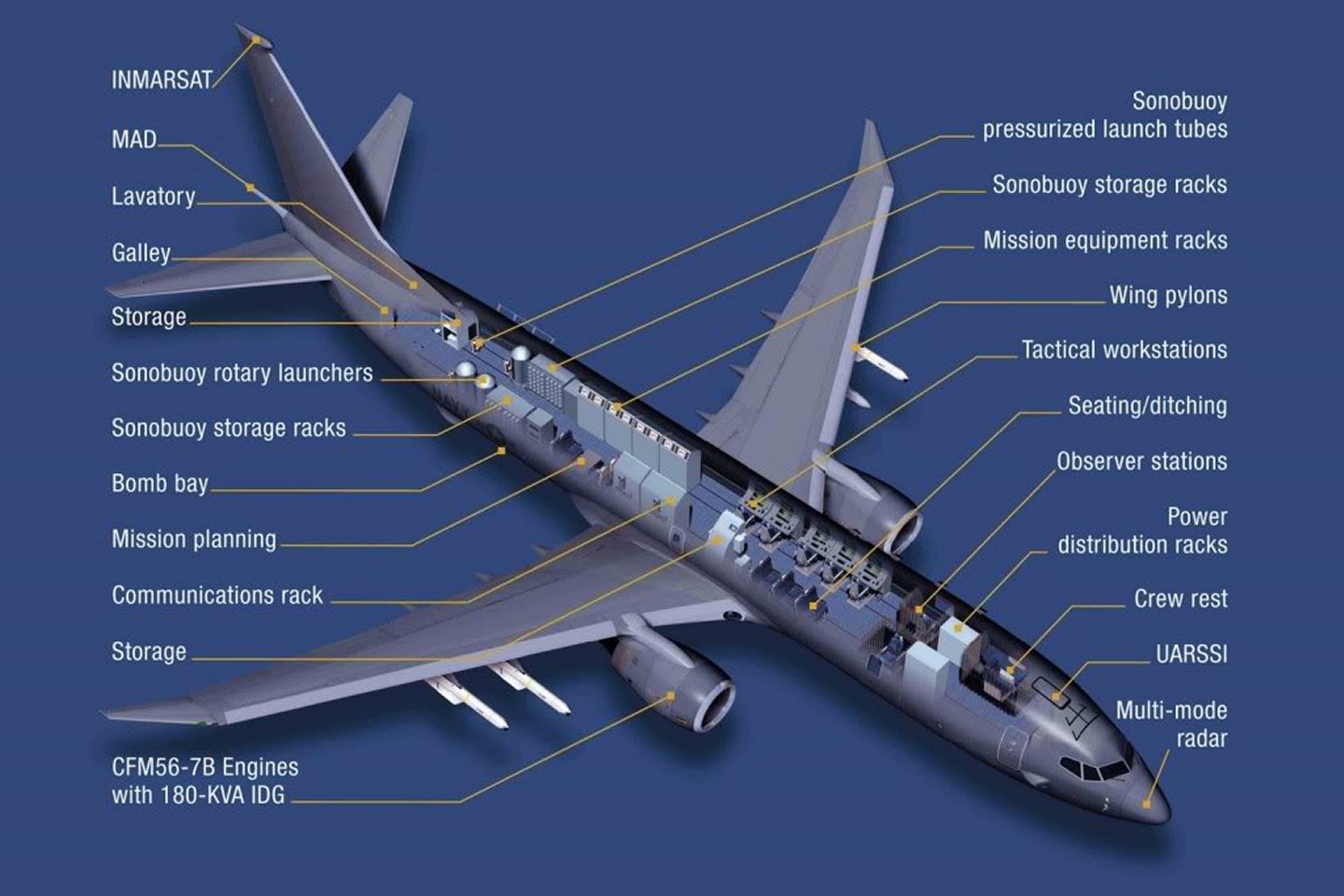 Home wwwseahawksportfishingcom