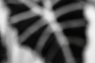Out of focus, by Guillermo Aldaya / PhotoConversa