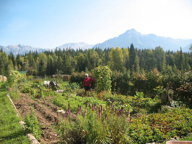 2008 Garden in September