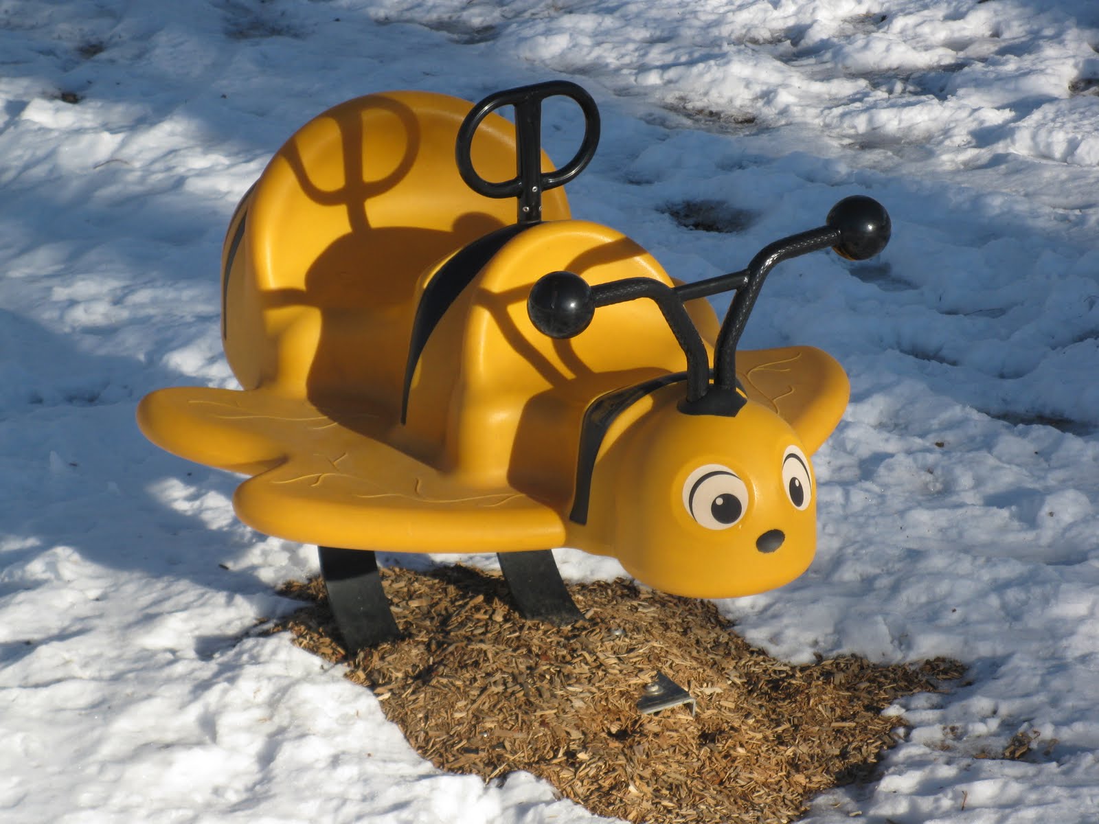 Feathers, Fur and Miscellaneous War Memorial Park Martinsburg WV Feb 3