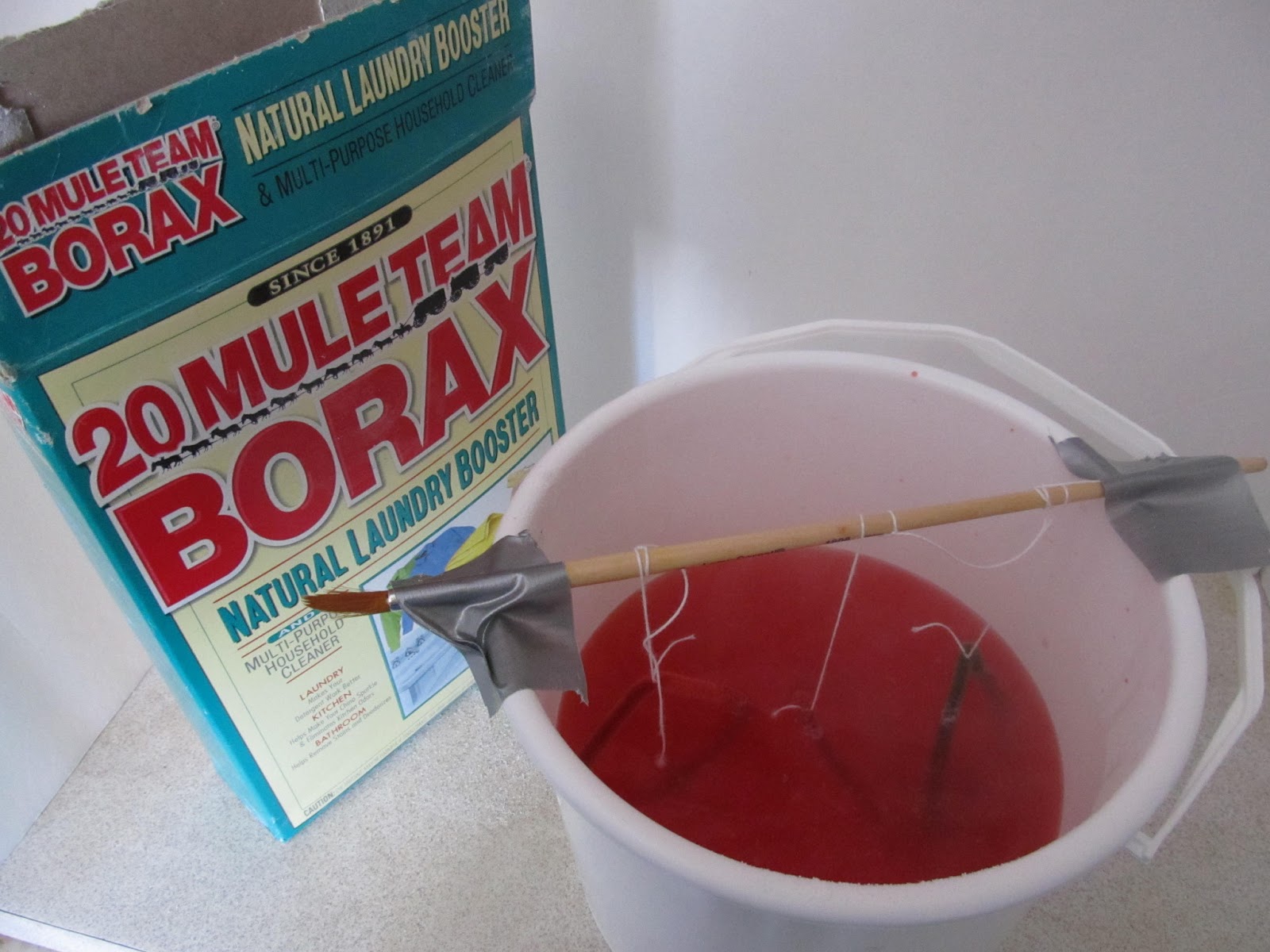 Unique Borax Crystal Science Ideas for Kids - Fun-A-Day!