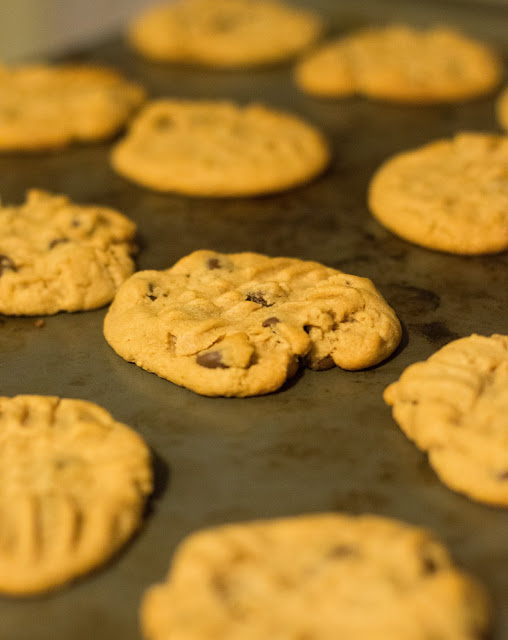 cookies, recipe, browned butter, easy recipe, cookie, chocolate chip, chocolate chip cookie, 
