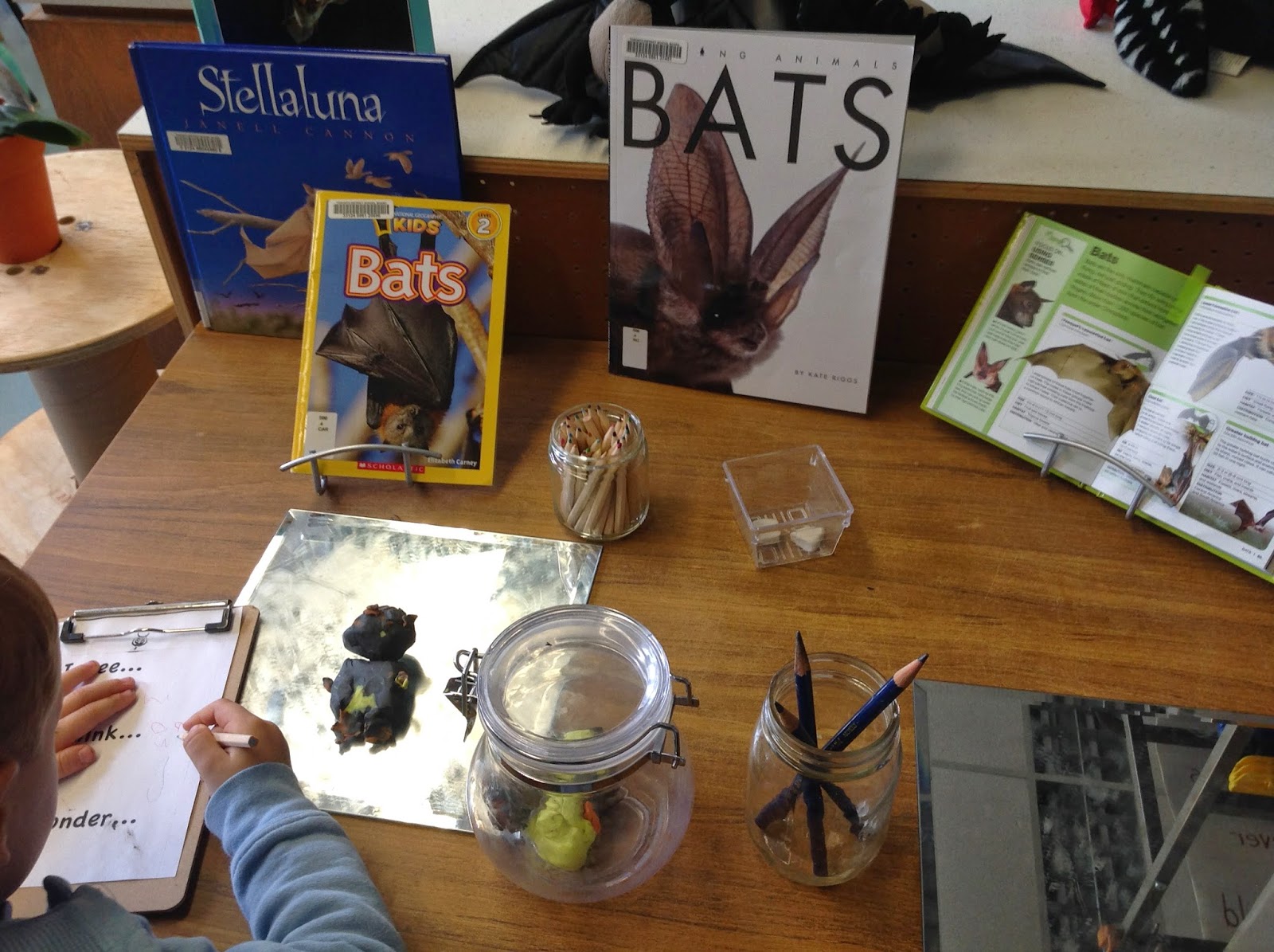 Wonders in Kindergarten: Batty for Bats!