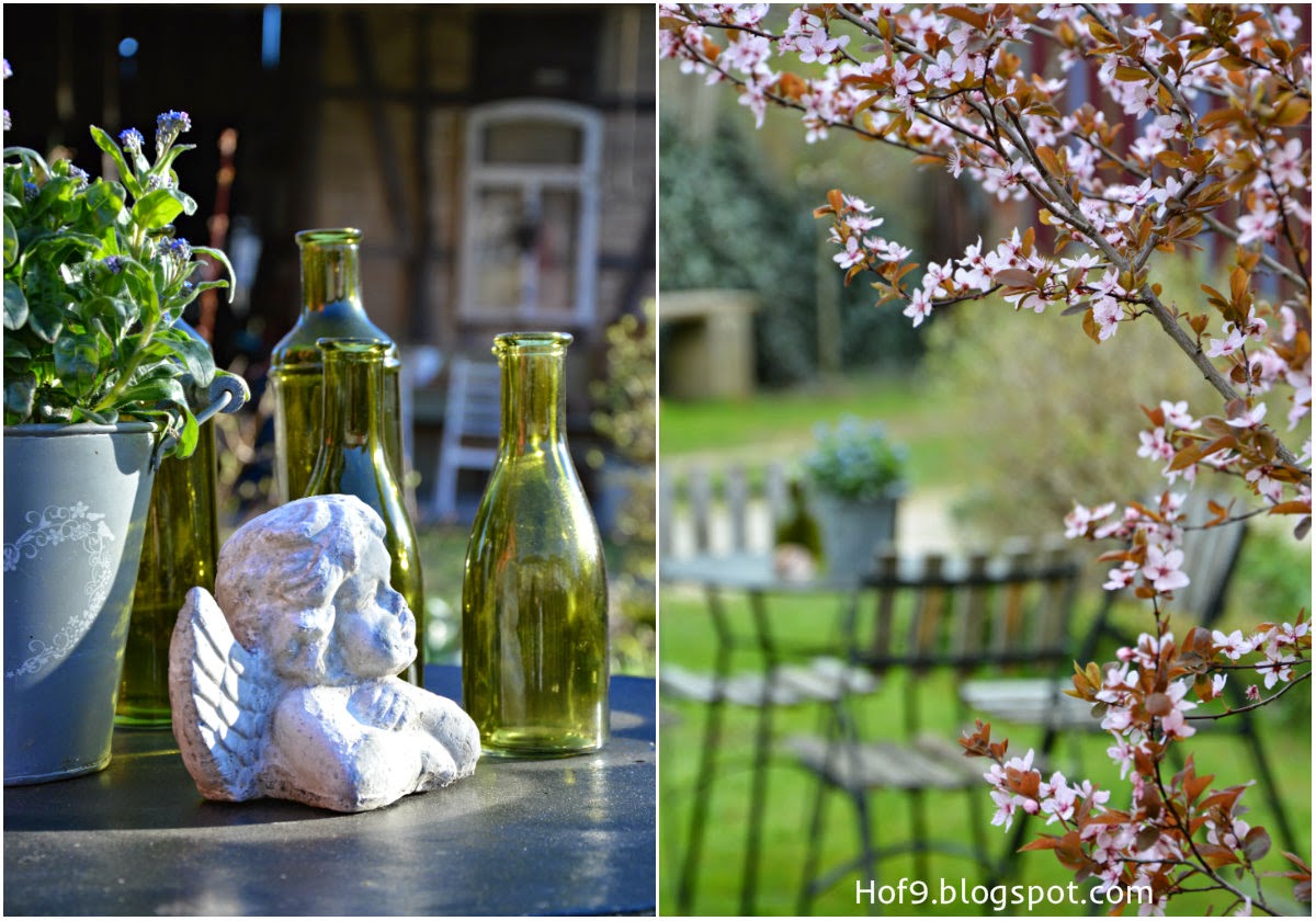 Hof 9: immer noch im Garten