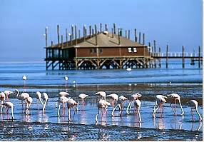 Car Rental Walvis Bay Harbour Car Rental Walvis Bay Harbour