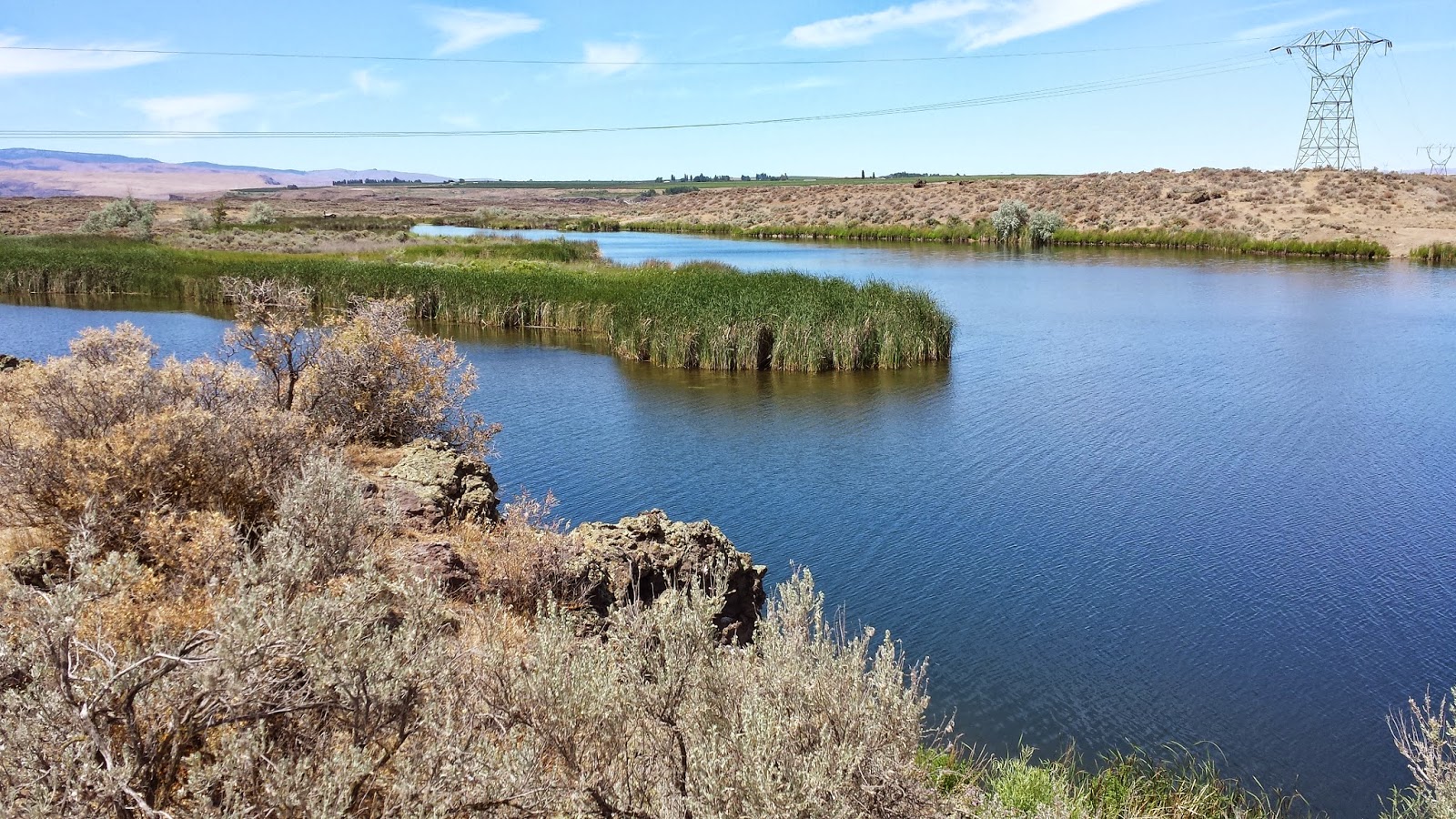 Technically Homeless The Quincy Lakes Wildlife Area Washington