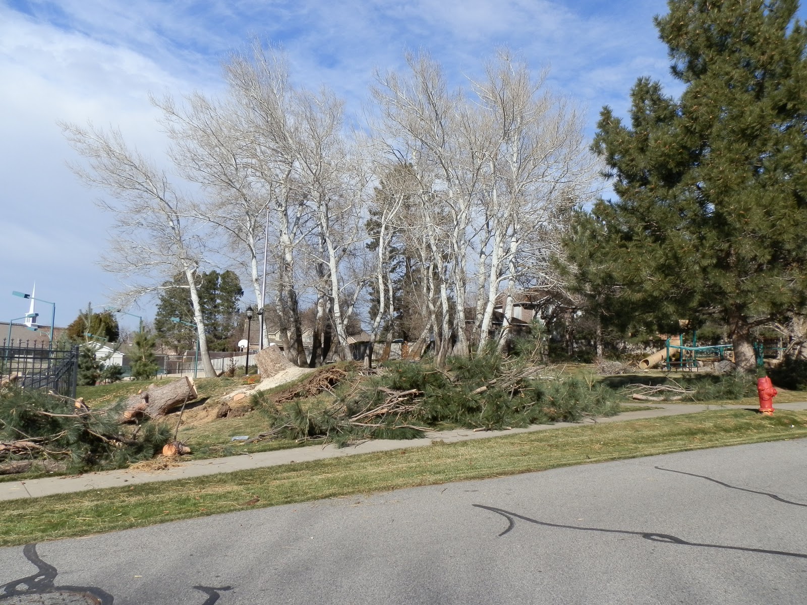Prepared LDS Family Wind Storm, Farmington, Utah 12/1/11