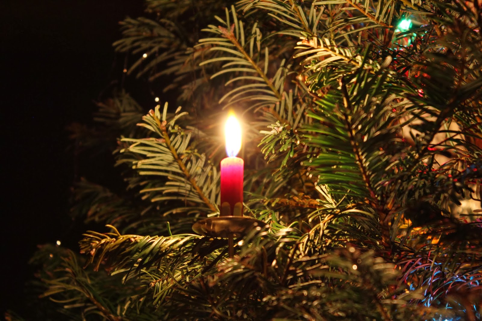 Turned to Design Christmas Tree Candles