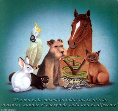 LOS ANIMALES