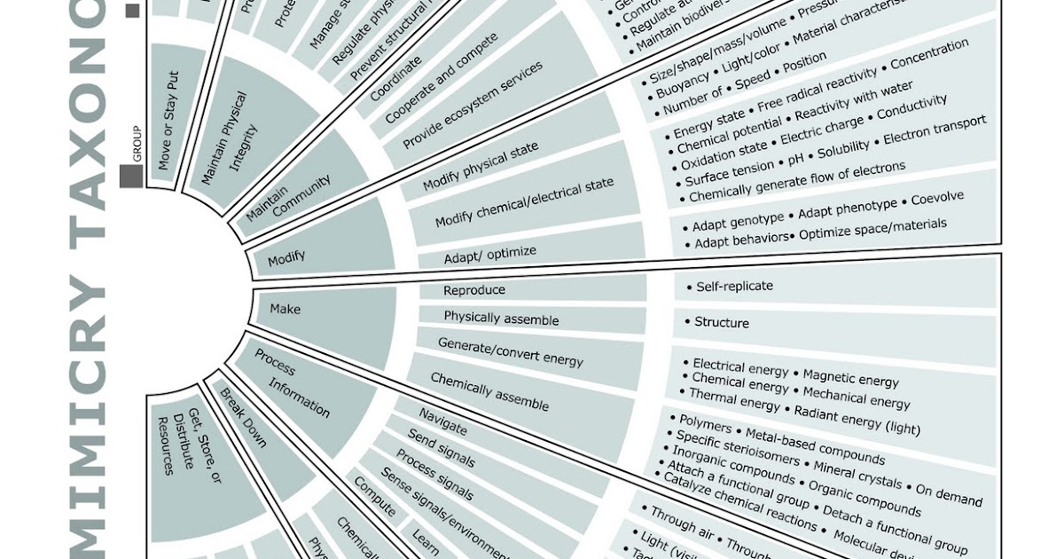 Biomimicry Interesting ideas and technology