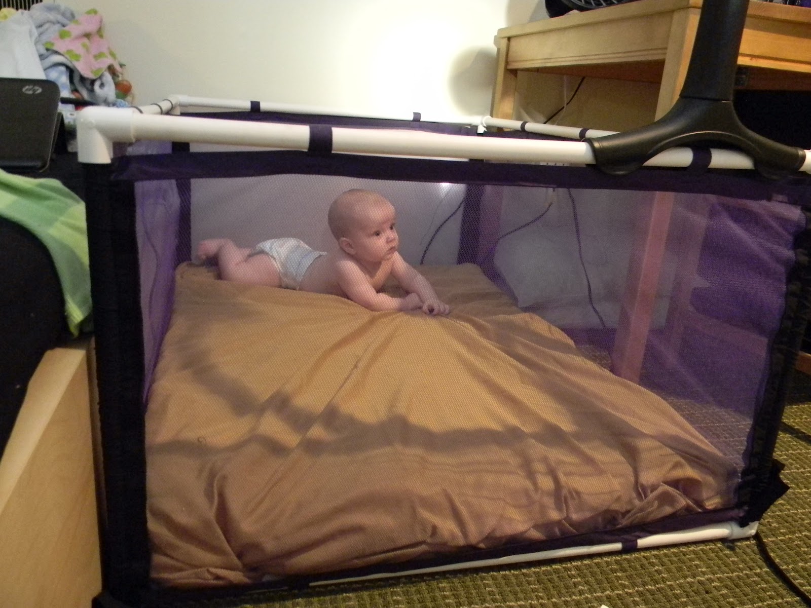 The (Occasionally) Grand Adventures of BriannEm The Baby Cage
