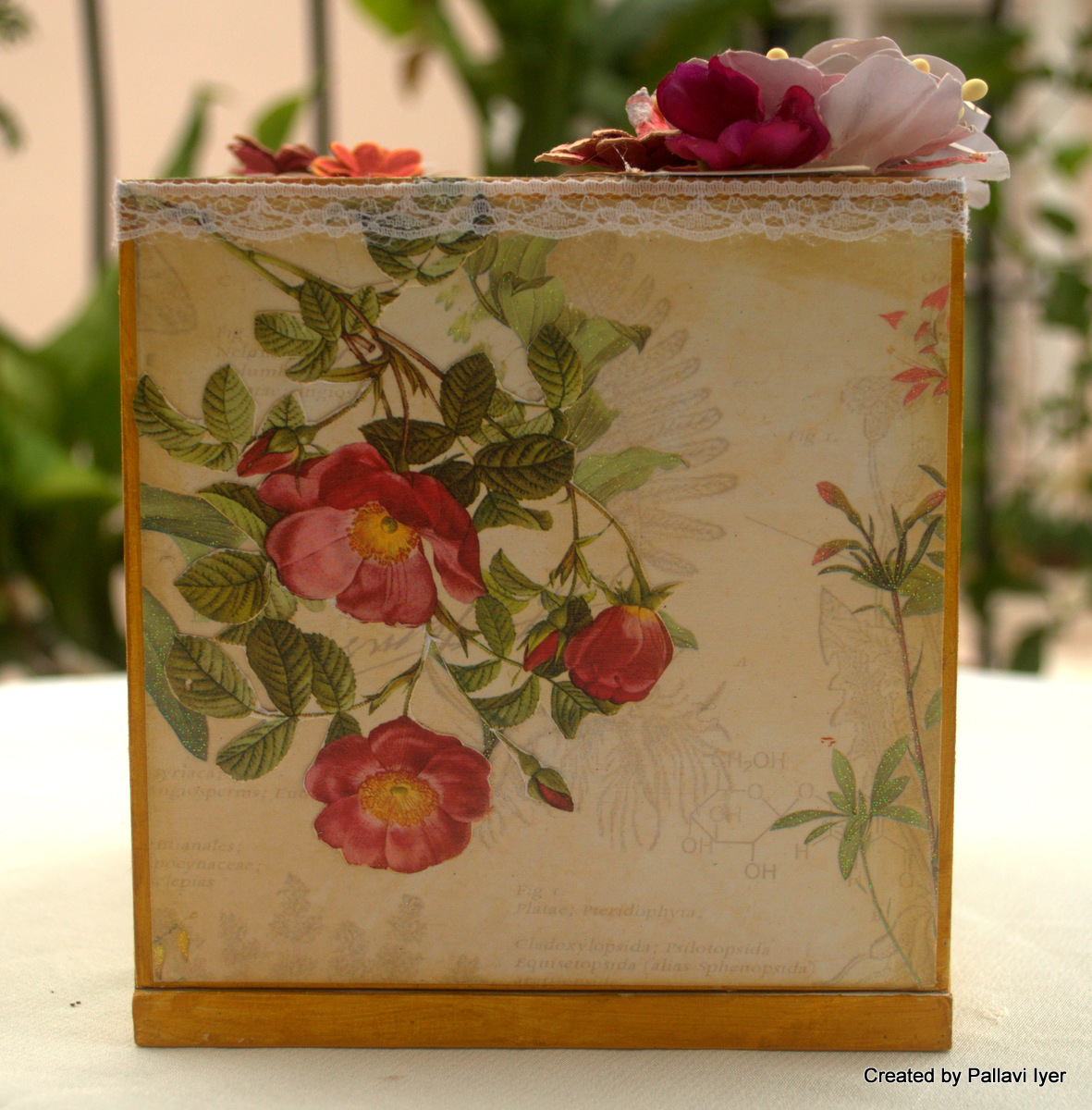 Dazzled By Life Altered Tissue box