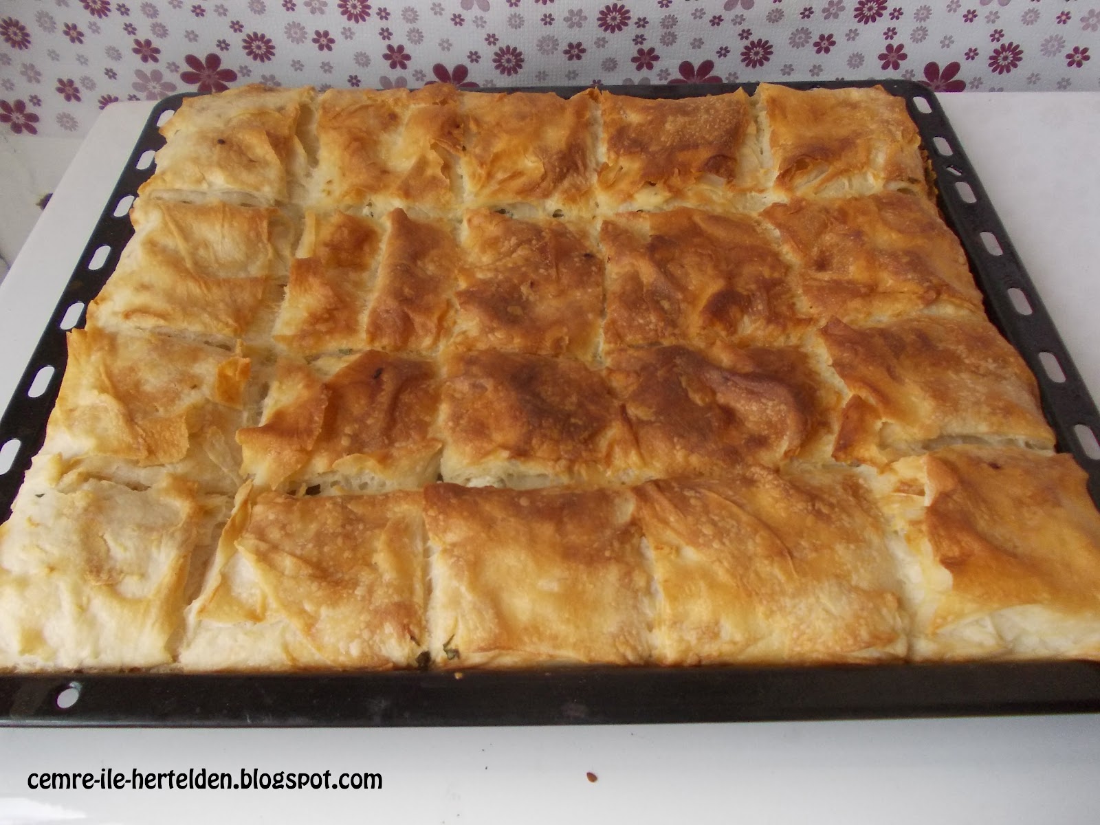 Cemre ile Her Telden Peynirli Börek Tarifim )